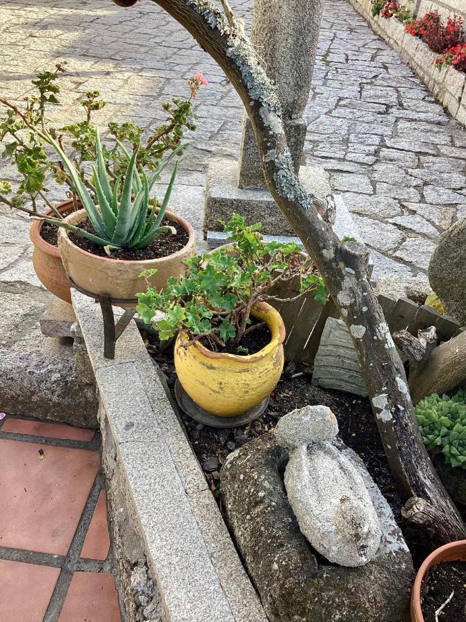 Atico Con Terraza Apartman O Grove Kültér fotó