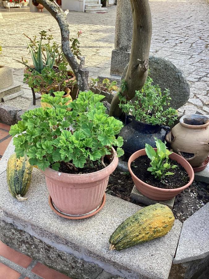 Atico Con Terraza Apartman O Grove Kültér fotó